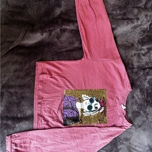 ZARA Pink Long Sleeve Top
